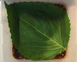 エゴマの醤油漬け作り方3写真