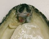 アワビのステーキ&特製・肝ソース作り方16写真