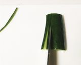 きゅうりの飾り切り　可愛い扇作り方2写真