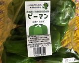 青椒肉絲(じゃがいもバージョン)作り方8写真