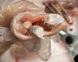 オーブンで☆骨なし手羽先の旨塩焼き作り方3写真