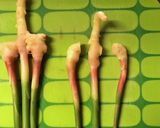 葉生姜の食べ方作り方4写真