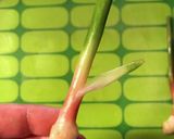 葉生姜の食べ方作り方6写真