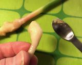 葉生姜の食べ方作り方8写真