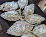 旨味が濃い！ヒラアジ（平アジ）の塩焼き作り方3写真