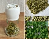 山椒の実 山椒 下処理 保存方法作り方8写真
