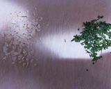 簡単!ワンパンペンネ・アラビアータ作り方1写真