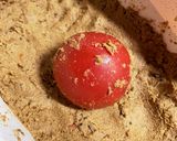 トマトのぬか漬け作り方1写真