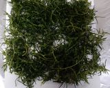 オカヒジキのかき揚げ作り方4写真