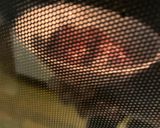 簡単ヘルシー大人ビター　ショコラ餅作り方7写真