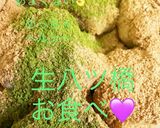プロテイン餅　豆腐米粉おからスキムミルク作り方10写真