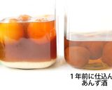 【てんさい糖で作る】あんず酒（杏露酒）作り方6写真