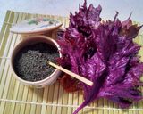 赤しそゼリー&赤しそジュース作り方6写真
