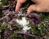 塩分16%梅干し作り方11写真