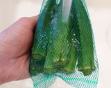 アレンジ自在！塩麹で基本のオクラ納豆作り方1写真