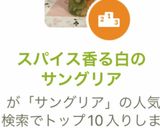 スパイス香る白のサングリア作り方14写真