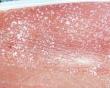 鮮魚店直伝★10分でまぐろが極上に作り方2写真