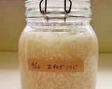 簡単！玉ねぎ麹作り方6写真