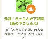 元祖！きゃらぶき下処理（蕗の下ごしらえ）作り方15写真