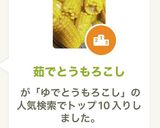 茹でとうもろこし作り方6写真