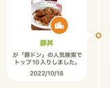豚丼作り方15写真
