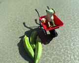 オクラのごま和え作り方1写真