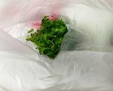 3歳児でもパクパク食べるゴーヤの唐揚げ作り方4写真