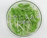 家庭レベルを脱却する冷しゃぶサラダ作り方5写真