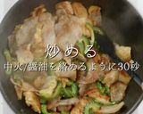 簡単！市販の素不要本格ゴーヤチャンプルー作り方30写真