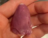 鳥ハツの下処理(血の塊と匂いの取り方)作り方1写真