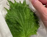 大葉ともやしで梅サラダ作り方2写真