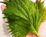 大葉ともやしで梅サラダ作り方6写真