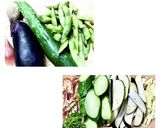 夏野菜のさっぱり漬〜食欲減退時に作り方1写真