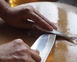 アジの開き作り方7写真