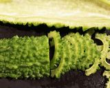 ゴーヤと豚肉の味噌炒め作り方1写真
