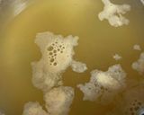 味噌汁　水菜・豆腐・油揚げ作り方1写真