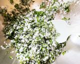 かんたん調味料・バジルソルト作り方9写真
