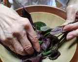 梅干し作り方6写真