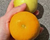 レモンの大量消費！レモネード用シロップ作り方2写真