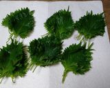 大葉のゴマ油漬け作り方1写真