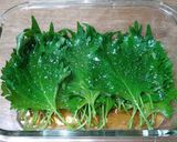 大葉のゴマ油漬け作り方3写真