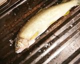鮎の炊き込みご飯作り方2写真
