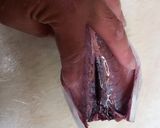 サバのした処理作り方5写真