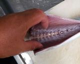 サバのした処理作り方6写真