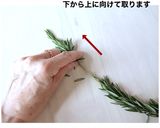 ローズマリーチップスの万能トッピング！作り方2写真