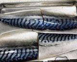 簡単にイタリアン〜さばのシチリア風グリル作り方1写真
