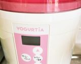 玉葱麹の万能甘み調味料ヨーグルトメーカー作り方4写真