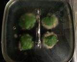 【作り置き】豆腐しそハンバーグ作り方4写真