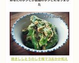 焼きししとうのしそ梅マヨおかか和え作り方4写真