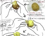 居酒屋さんのピザ、追加分作り方4写真